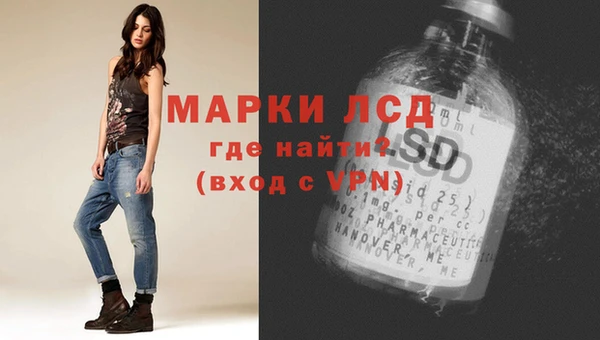 шишки Лабытнанги