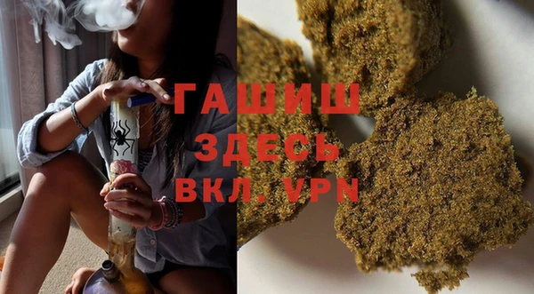 шишки Лабытнанги