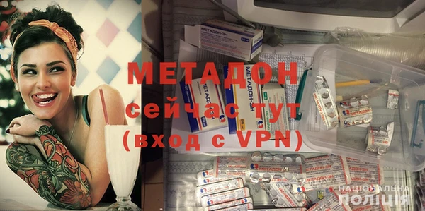 шишки Лабытнанги