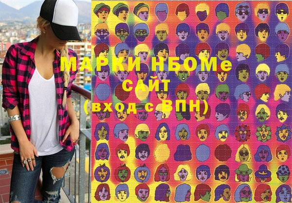 шишки Лабытнанги