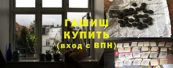 шишки Лабытнанги