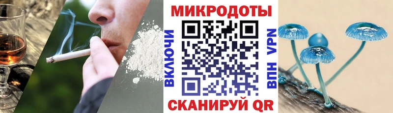 Галлюциногенные грибы Psilocybe  Сысерть 